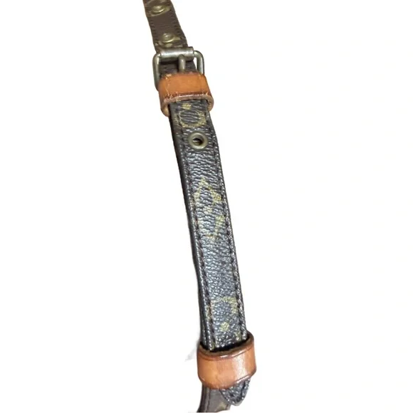 Louis Vuitton Mini Amazon Brown Monogram Crossbody Bag - Picture 8 of 12